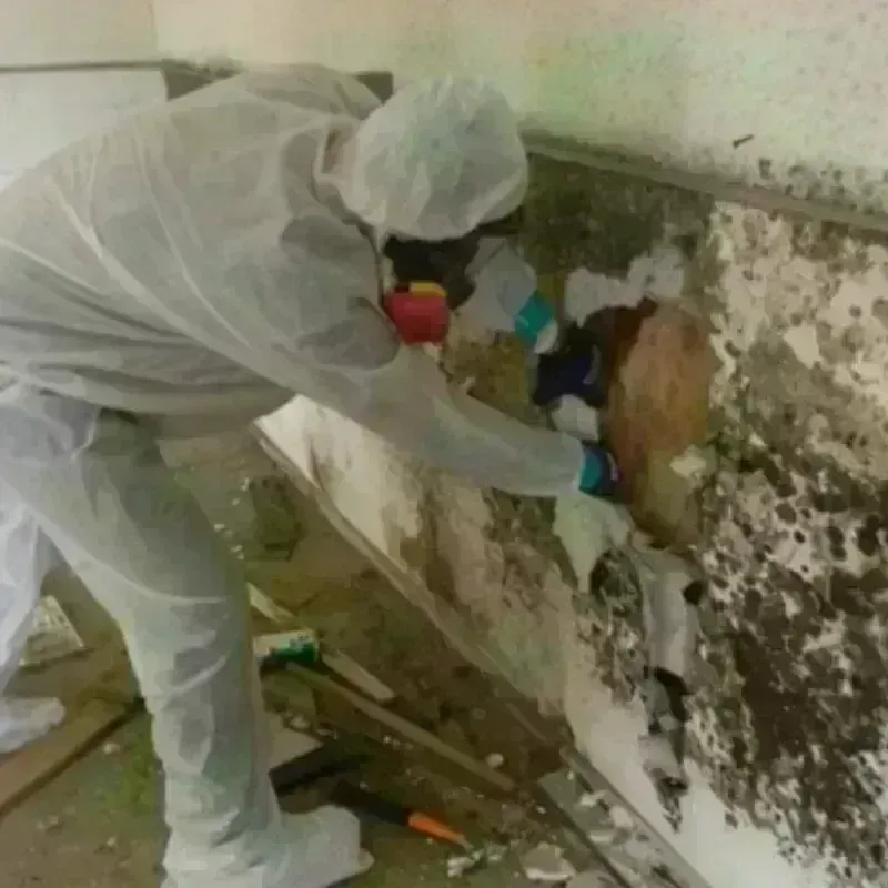 Mold Remediation and Removal in Midwest City, OK