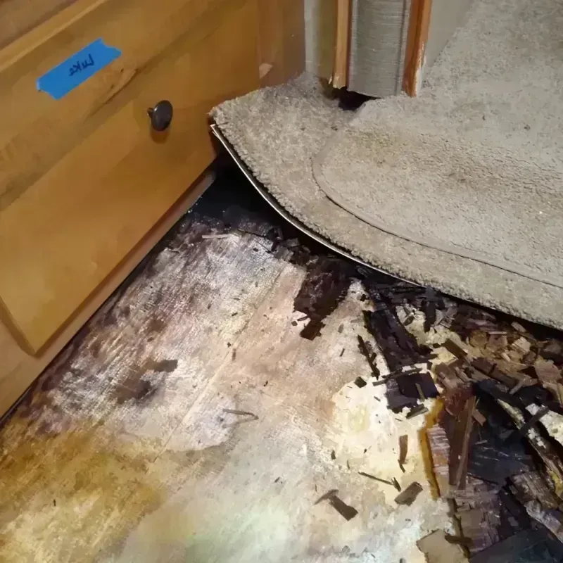 Best Wood Floor Water Damage Service in Midwest City, OK